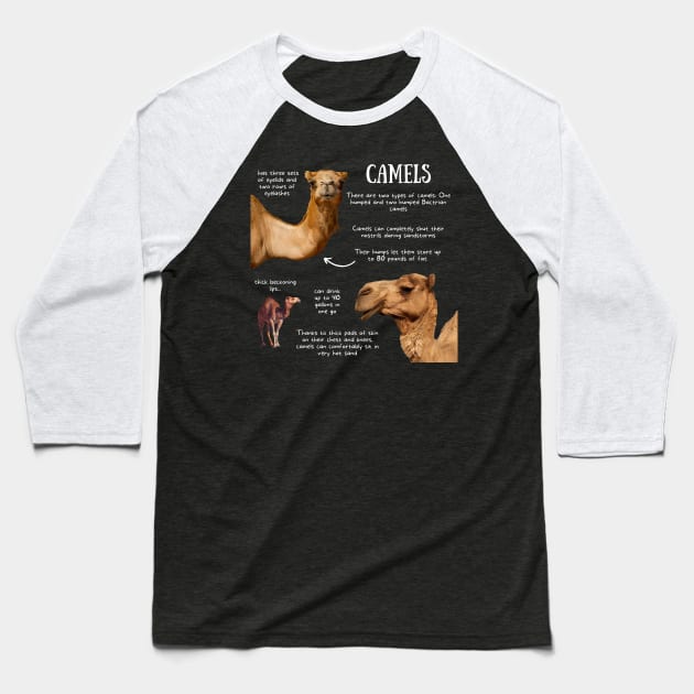 Animal Facts - Camel Baseball T-Shirt by Animal Facts and Trivias